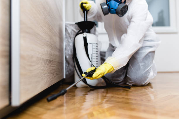 Best Termite Control Services  in Mount Morris, MI