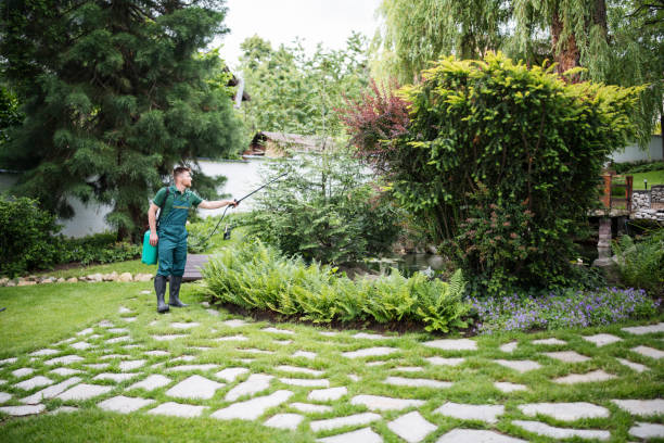 Best Mosquito Control Services  in Mount Morris, MI