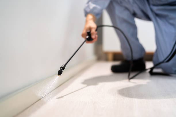 Best Exterminator Services  in Mount Morris, MI
