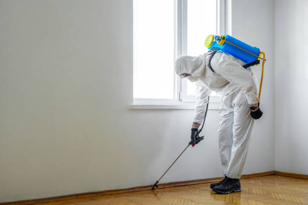 Best Ant Control Services  in Mount Morris, MI