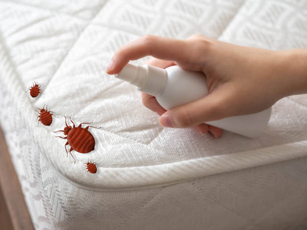 Insect Control in Mount Morris, MI