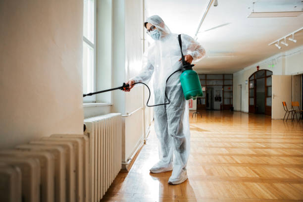 Professional Pest Control in Mount Morris, MI
