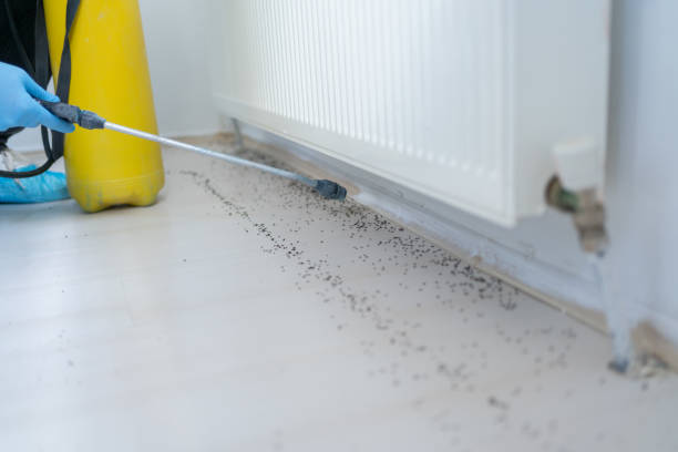 Best Best Pest Control Companies  in Mount Morris, MI