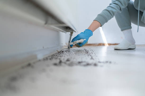 Pest Control for Restaurants in Mount Morris, MI